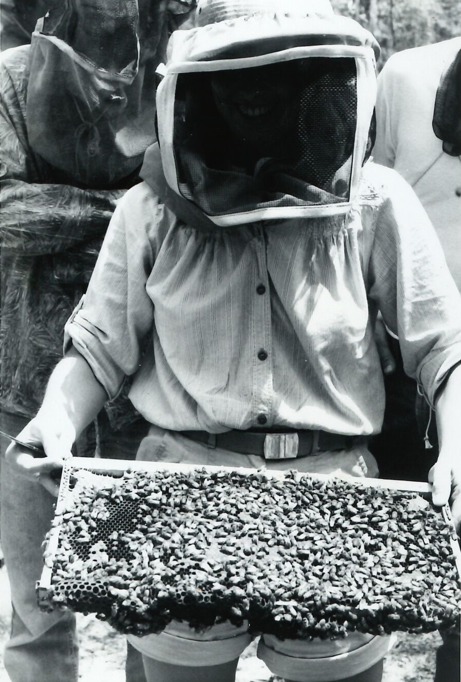 (1989) The Structural Pest division inspects an apiary.