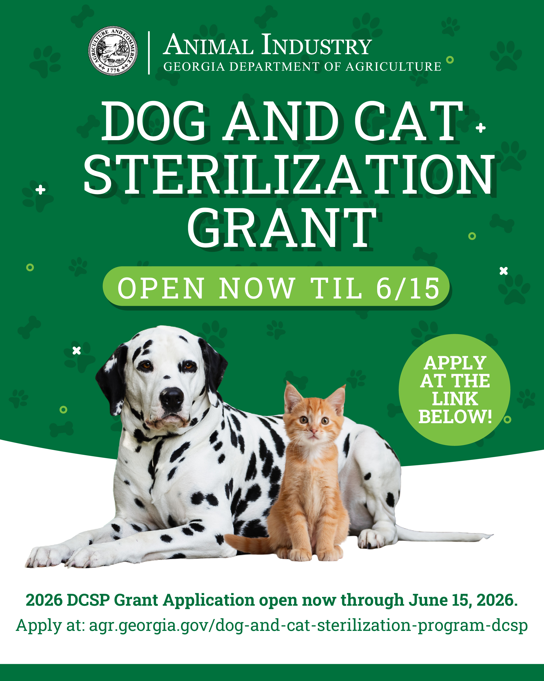 Dog and Cat Sterilization Program 2026 Grant Application Open Now