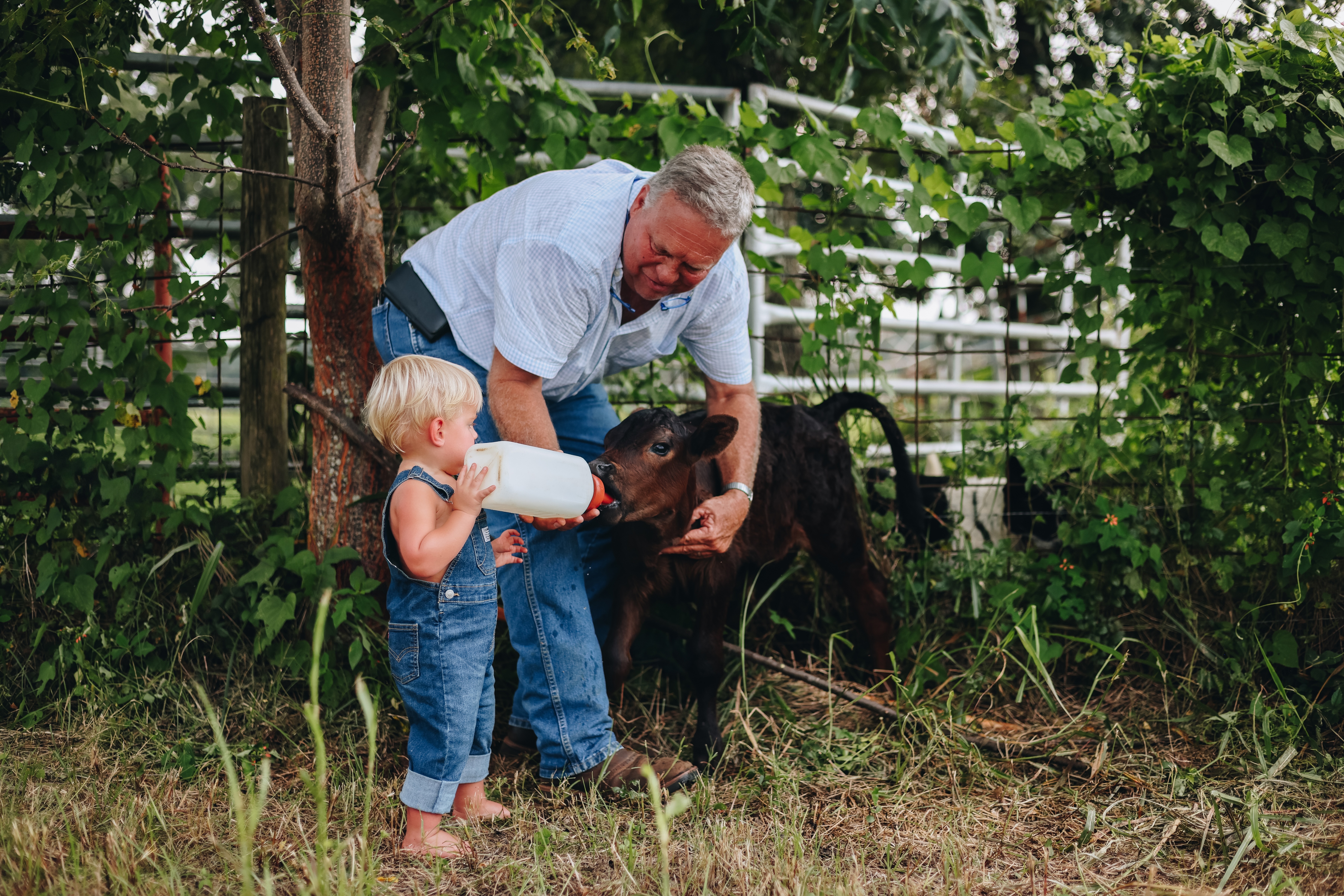 Georgia Agriculture Commissioner Tyler J Harper Announces Winning Entries in 2026 Ag Week Photo Contest