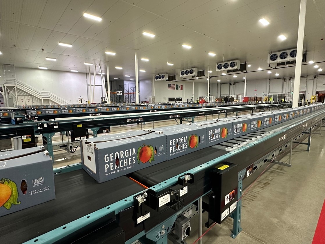 (Georgia Grown Peaches at Reveam’s ECP Facility in McAllen, TX) (Georgia Grown Peaches at Reveam’s ECP Facility in McAllen, TX)