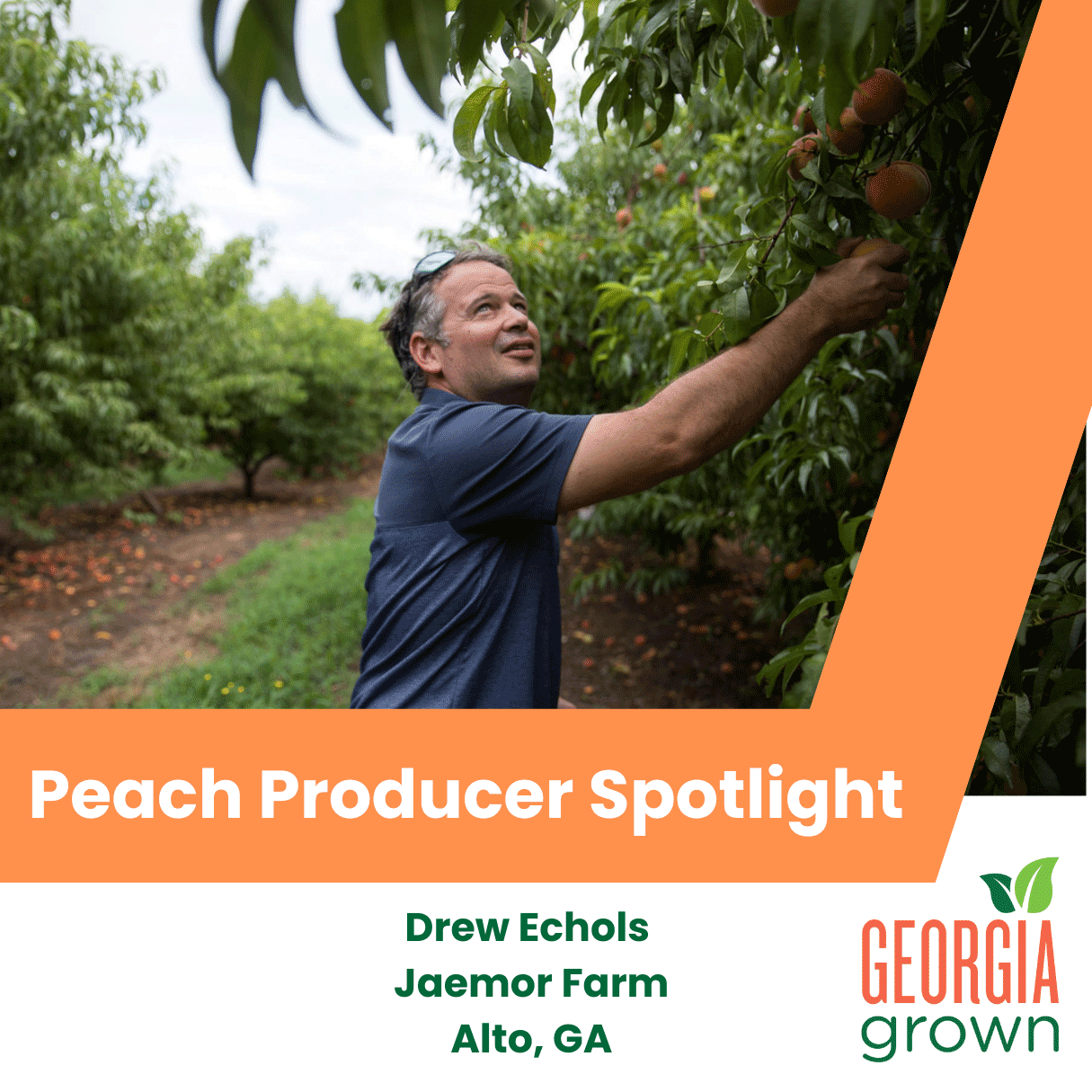Peach Producer Spotlight Peach Producer Spotlight