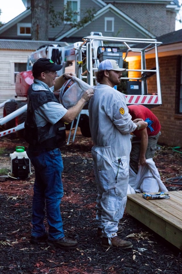 Teams from Herrington Tree Service and Yates-Astro Termite & Pest Control prepare to eradicate the nest.   - Georgia Department of Agriculture