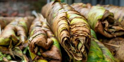 Ripe tobacco leaves heaped on market