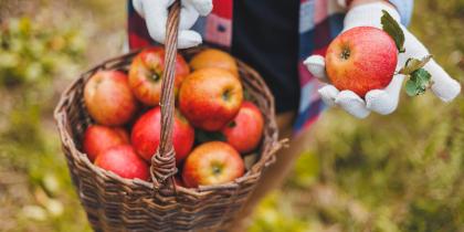Food Safety & Consumer Protection